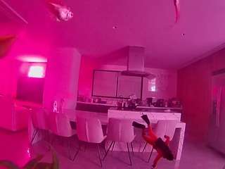 voyeurcam-casa-salsa-fishtank