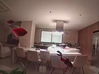 voyeurcam-casa-salsa-fishtank