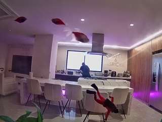 voyeurcam-casa-salsa-fishtank