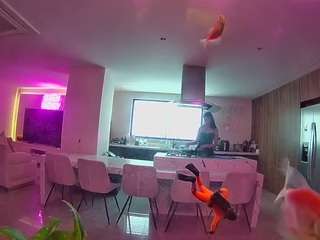 Ce modèle est en direct maintenant. voyeurcam-casa-salsa-fishtank