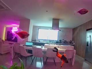 Эта модель сейчас онлайн. voyeurcam-casa-salsa-fishtank