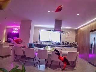 このモデルは現在ライブ中です。 voyeurcam-casa-salsa-fishtank