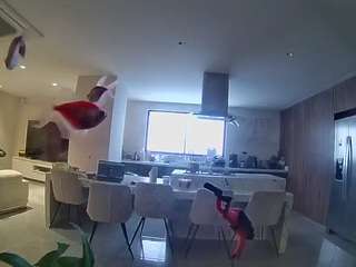 Este modelo está en vivo ahora. voyeurcam-casa-salsa-fishtank