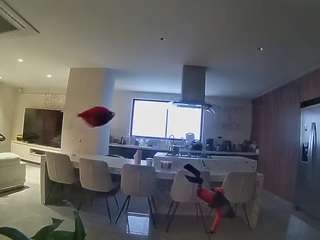 Dit model is nu live. voyeurcam-casa-salsa-fishtank