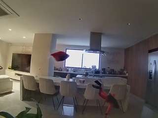 Ce modèle est en direct maintenant. voyeurcam-casa-salsa-fishtank
