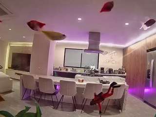 voyeurcam-casa-salsa-fishtank