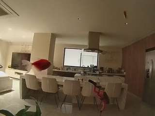 Questo modello è in diretta ora. voyeurcam-casa-salsa-fishtank