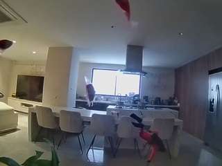 Ця модель зараз онлайн. voyeurcam-casa-salsa-fishtank