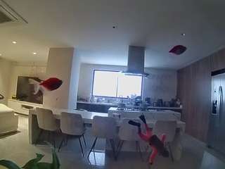 voyeurcam-casa-salsa-fishtank