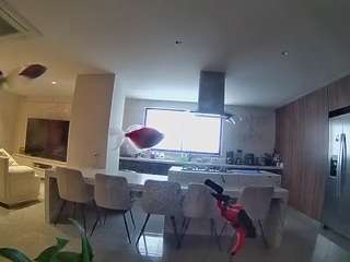 voyeurcam-casa-salsa-fishtank