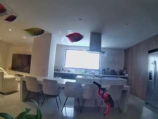 Este modelo está ao vivo agora. voyeurcam-casa-salsa-fishtank
