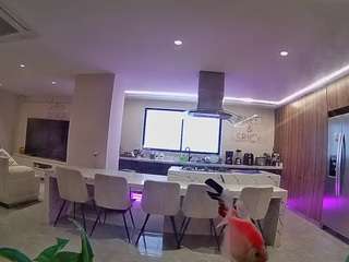 voyeurcam-casa-salsa-fishtank