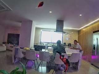 voyeurcam-casa-salsa-fishtank