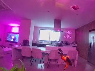 voyeurcam-casa-salsa-fishtank