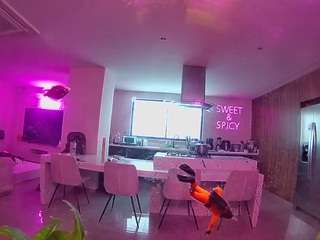 voyeurcam-casa-salsa-fishtank