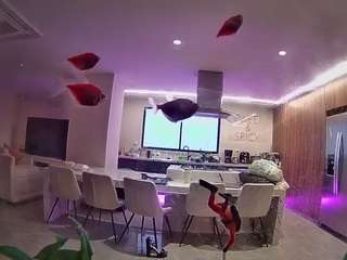 voyeurcam-casa-salsa-fishtank