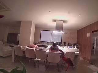 voyeurcam casa salsa fishtank