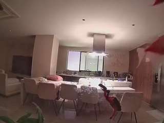 voyeurcam-casa-salsa-fishtank