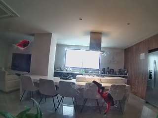 voyeurcam-casa-salsa-fishtank