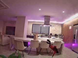 voyeurcam-casa-salsa-fishtank