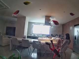 voyeurcam-casa-salsa-fishtank