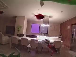 voyeurcam-casa-salsa-fishtank