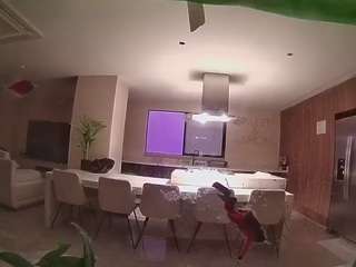 voyeurcam-casa-salsa-fishtank