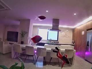 voyeurcam-casa-salsa-fishtank