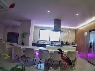 voyeurcam-casa-salsa-fishtank