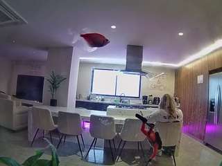 voyeurcam-casa-salsa-fishtank
