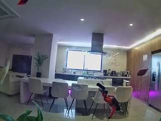 voyeurcam-casa-salsa-fishtank