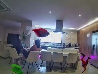 voyeurcam-casa-salsa-fishtank