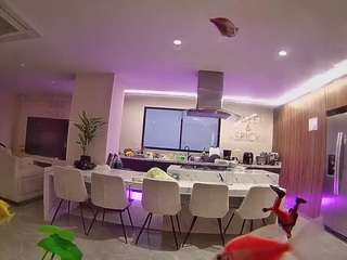 voyeurcam-casa-salsa-fishtank