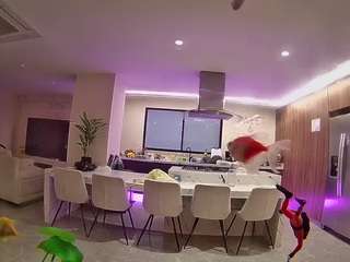 voyeurcam-casa-salsa-fishtank