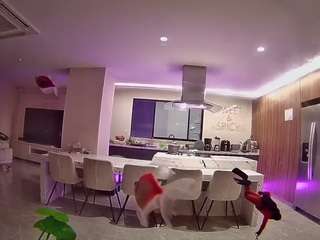 voyeurcam-casa-salsa-fishtank