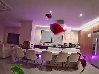voyeurcam-casa-salsa-fishtank