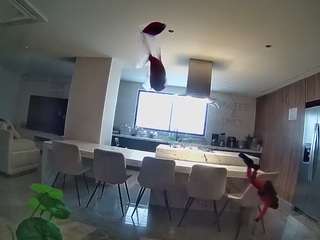 voyeurcam-casa-salsa-fishtank