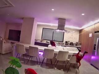voyeurcam-casa-s... Live Webcam on CamSoda