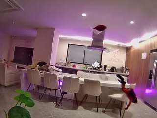 voyeurcam-casa-salsa-fishtank