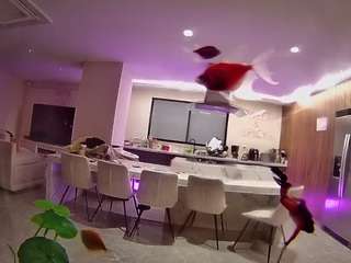 voyeurcam-casa-salsa-fishtank