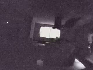 voyeurcam-casa-salsa-fishtank