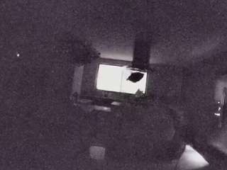 voyeurcam-casa-salsa-fishtank