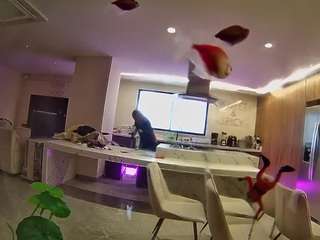 voyeurcam-casa-salsa-fishtank