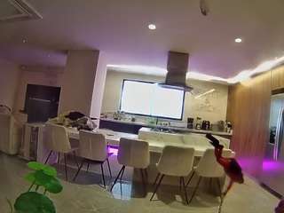 voyeurcam-casa-salsa-fishtank