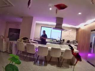 voyeurcam-casa-salsa-fishtank