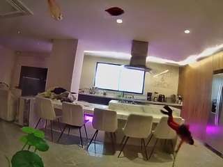 voyeurcam-casa-salsa-fishtank