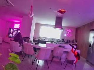 voyeurcam-casa-salsa-fishtank