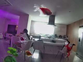 voyeurcam-casa-salsa-fishtank