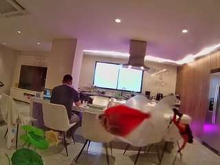 voyeurcam-casa-salsa-fishtank