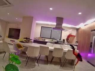 voyeurcam-casa-salsa-fishtank